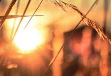 Ejubi a.s. – simbol i durimit!
