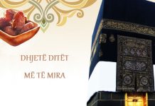 DHJETË DITËT MË TË MIRA
