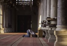 Dhjetëshi i veprave të mira- Namazi i Duhasë vlera dhe normat