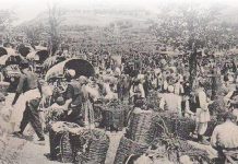 Konfiskimi i pronave private dhe vakëfeve në Mbretërinë Serbo-Kroato-Sllovene, sipas një përkujtese të Ferhat Dragës, të vitit 1935 (2)