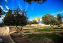 Mësime dhe porosi nga Israja dhe Miraxhi