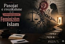 Pasojat e rrezikshme të të ashtuquajturit Feminizëm Islam